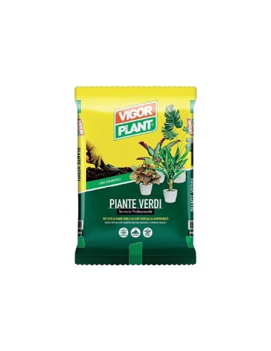 Vigorplant terriccio per piante Verdi 20 lt