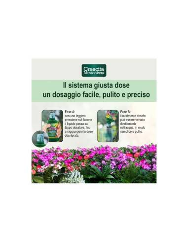 Concime per acidofile liquido Crescita miracolosa orchidee 200 ml