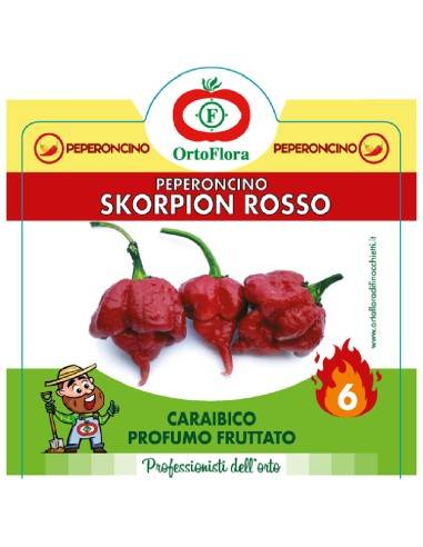 Ortoflora pianta Peperoncino Skorpion Rosso vaso 14 cm