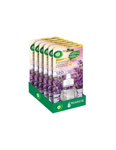 Air Wick ricarica per diffusore elettrico Lavanda in fiore 19 ml (6 pz)